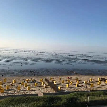 Silbermöwe - Traumhafter Meerblick-2